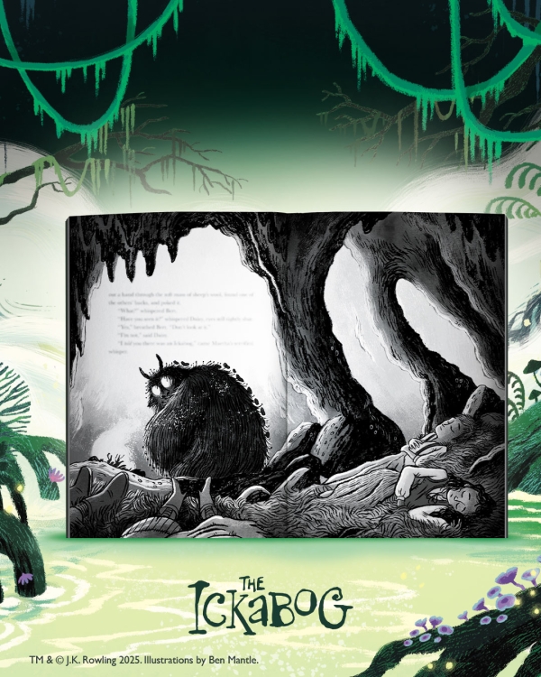 Illustrated edition - Online promotion - 4
